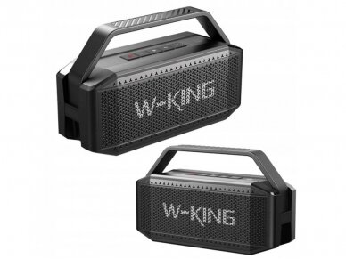 W-King D9-1